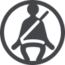 Seatbelt warning icon